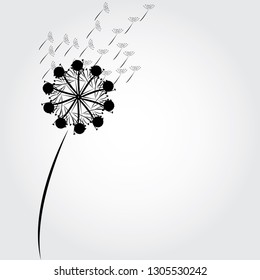 dandelion icon - vector illustrator