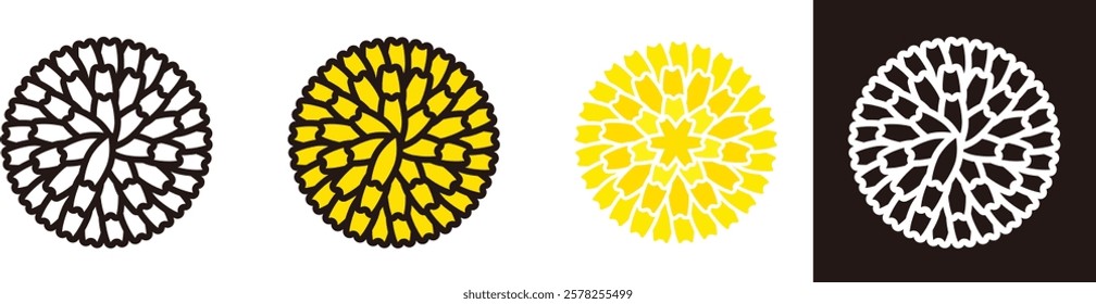 Dandelion icon. yellow flowers. A plant of the Asteraceae family. spring flowers.