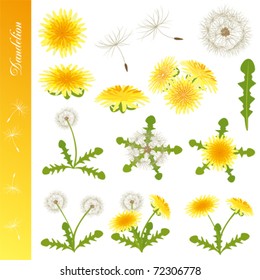 Dandelion Icons Set. Illustration vector.