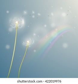 Dandelion illustration with rainbow