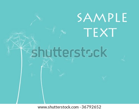 Dandelion illustration, vector art
