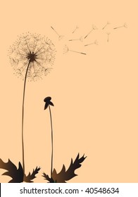 Dandelion in the Japanese style, background