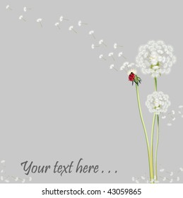 Dandelion with ladybug on lilac background with place for text