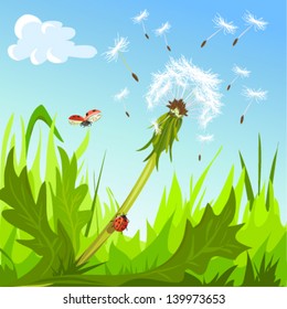 dandelion and ladybugs against the sky. Vector illustration