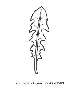 Dandelion leaf outline icon vector illustration. Hand drawn line sketch of edible plant from spring or summer meadow, natural leaves for cooking vegan salad in kitchen, dandelion vitamin herb