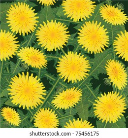 Dandelion with leaves pattern - vector