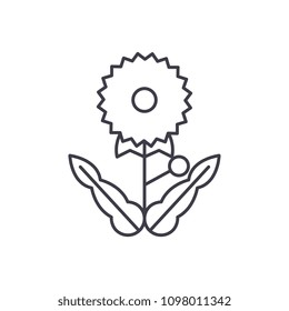 Dandelion line icon concept. Dandelion flat vector sign, symbol, illustration.