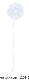 Dandelion line vector illustration