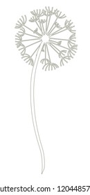 Dandelion line vector illustration