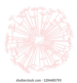 Dandelion line vector illustration