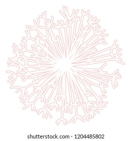 Dandelion line vector illustration