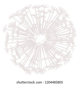 Dandelion line vector illustration