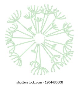 Dandelion line vector illustration