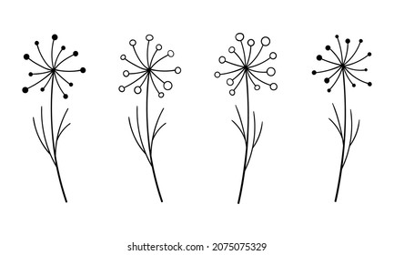 Dandelion lineart vector botanical illustration. Leaf and Flower sketch hand drawn set. Forest greenery