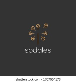 Dandelion logo design icon vector template