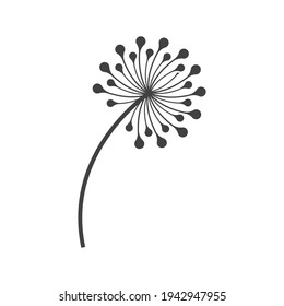 Dandelion logo template illustration design