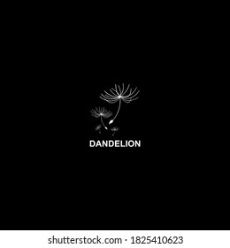 Dandelion logo template Premium Modern Vector Illustration