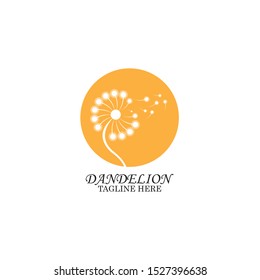 Dandelion logo template vector illustration
