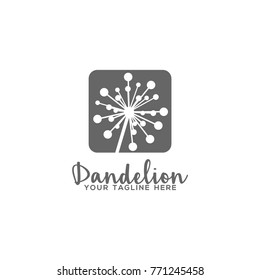 Dandelion Logo Vector