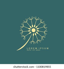 Dandelion logo vector illustration. Dandelion icon