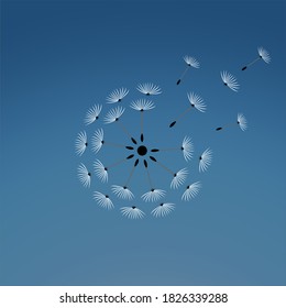 Dandelion logo vector illustration. Dandelion icon. Light blue background
