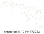 Dandelion Logo, Vector Plant Dandelion flower, Design Icon Template