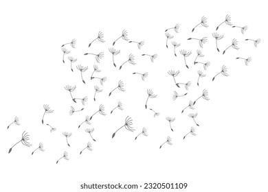Dandelion Logo, Vector Plant Dandelion flower, Design Icon Template