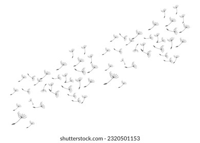 Dandelion Logo, Vector Plant Dandelion flower, Design Icon Template