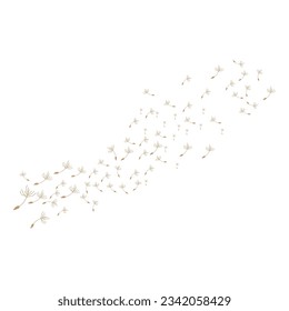 Dandelion Logo, Vector Plant Dandelion flower, Design Icon Template