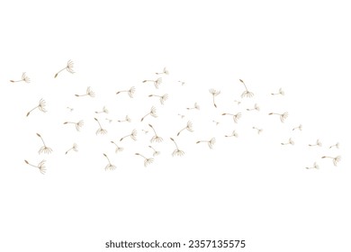Dandelion Logo, Vector Plant Dandelion flower, Design Icon Template