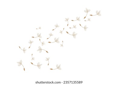 Dandelion Logo, Vector Plant Dandelion flower, Design Icon Template