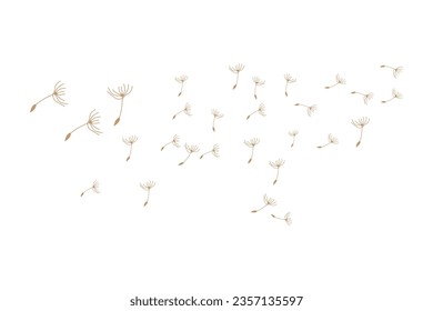 Dandelion Logo, Vector Plant Dandelion flower, Design Icon Template