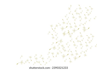 Dandelion Logo, Vector Plant Dandelion flower, Design Icon Template