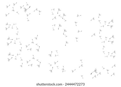 Dandelion Logo, Vector Plant Dandelion flower, Design Icon Template