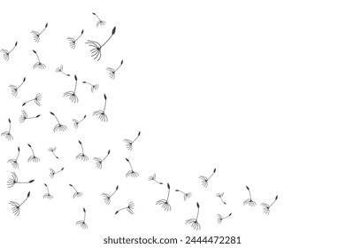 Dandelion Logo, Vector Plant Dandelion flower, Design Icon Template