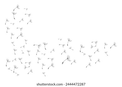 Dandelion Logo, Vector Plant Dandelion flower, Design Icon Template