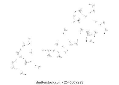 Dandelion Logo, Vector Plant Dandelion flower, Design Icon Template