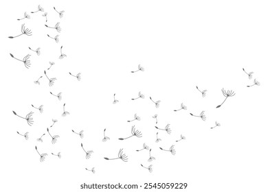 Dandelion Logo, Vector Plant Dandelion flower, Design Icon Template