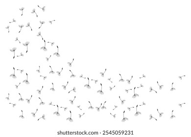 Dandelion Logo, Vector Plant Dandelion flower, Design Icon Template