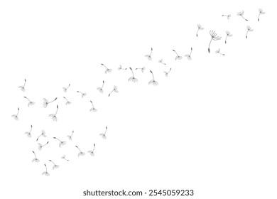 Dandelion Logo, Vector Plant Dandelion flower, Design Icon Template