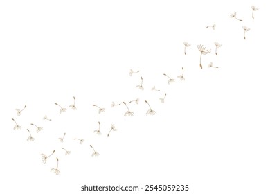 Dandelion Logo, Vector Plant Dandelion flower, Design Icon Template