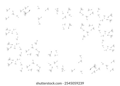 Dandelion Logo, Vector Plant Dandelion flower, Design Icon Template