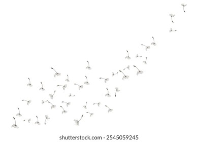 Dandelion Logo, Vector Plant Dandelion flower, Design Icon Template