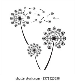 dandelion logo, dandelion vector, dandelion in the wind