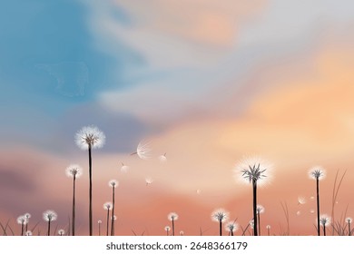 dandelion in the meadow with colorful cloudy sky background
