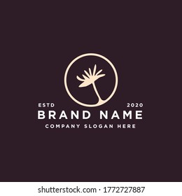 dandelion nature plant logo design vector illustration