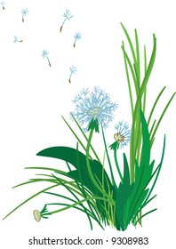 Dandelion on a autumn wind. Vector illustration