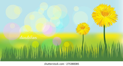 Dandelion on a background summer landscape, vector illustration