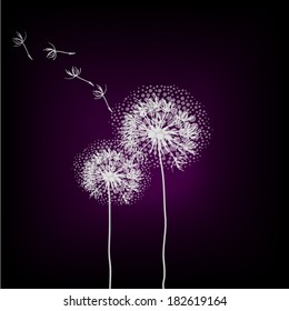 dandelion on a black background. Vector