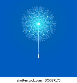 dandelion on blue background